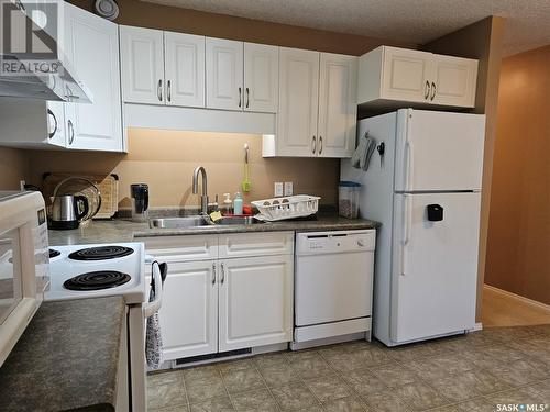 103 700 Battleford Trail W, Swift Current, SK - Indoor Photo Showing Kitchen With Double Sink