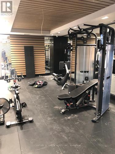 109 - 345 Wheat Boom Drive, Oakville, ON - Indoor Photo Showing Gym Room