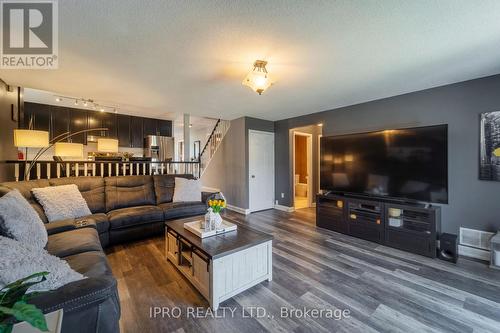 166 Merrilee Crescent, Hamilton, ON - Indoor Photo Showing Living Room