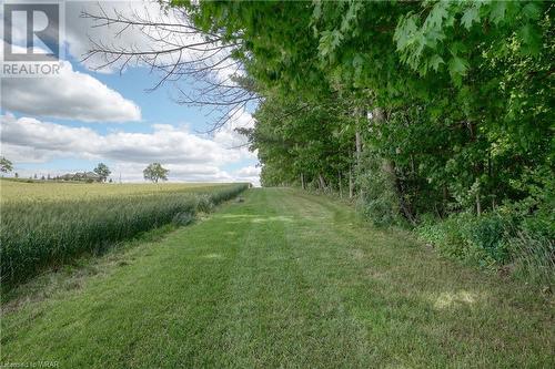 3699 Trussler Road, R.R. #4 Road, Bright, ON - Outdoor With View