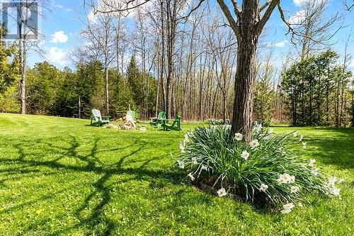 So much open space! - 710 West Road, Northern Bruce Peninsula, ON - Outdoor