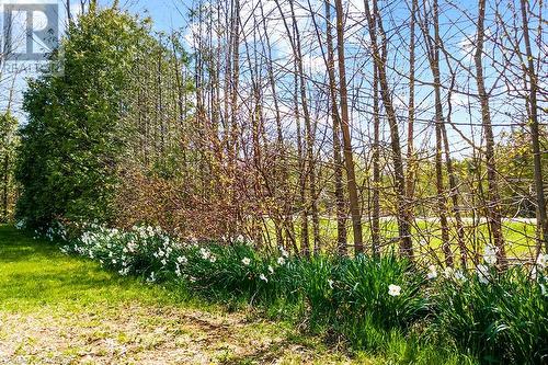 Mature garden beds all around! - 710 West Road, Northern Bruce Peninsula, ON - Outdoor