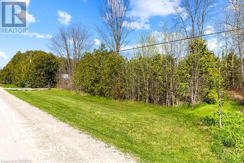 Established hedge line for privacy! Year-round road - 710 West Road, Northern Bruce Peninsula, ON - Outdoor With View