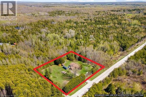 Surrounded by so much woods! - 710 West Road, Northern Bruce Peninsula, ON - Outdoor With View