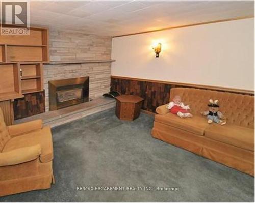206 Columbia Drive, Hamilton, ON - Indoor With Fireplace