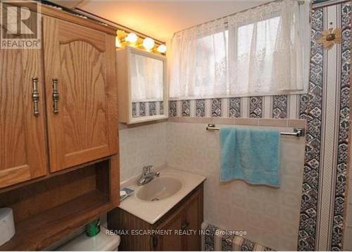 206 Columbia Drive, Hamilton, ON - Indoor Photo Showing Bathroom