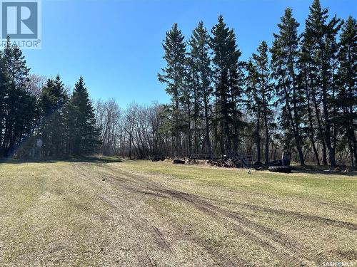 Miller Acreage, Ponass Lake Rm No. 367, SK - Outdoor With View