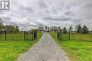 22176 Leslie Street, East Gwillimbury, ON  - Outdoor With View 