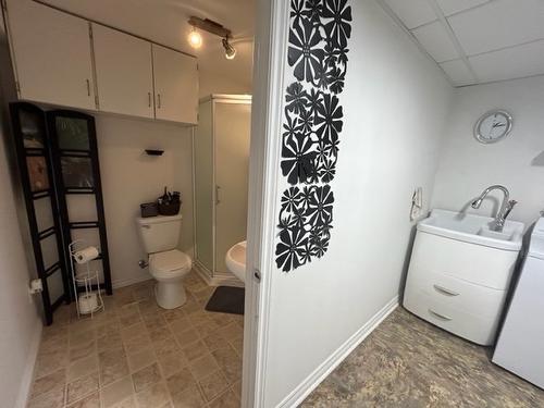 Salle de bains - 180 Rue Rolland, Sainte-Anne-Des-Plaines, QC - Indoor Photo Showing Laundry Room