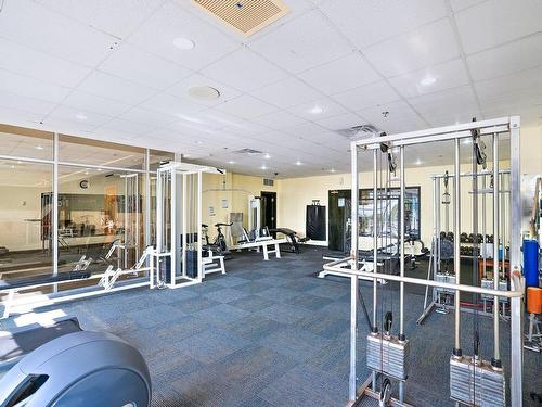 Salle d'exercice - 313-18 Ch. Du Bord-Du-Lac-Lakeshore, Pointe-Claire, QC - Indoor Photo Showing Gym Room