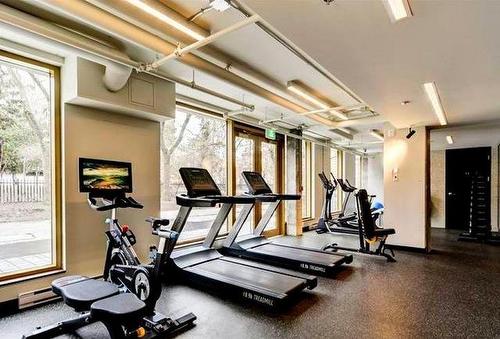Salle d'exercice - 501-1575 Rue Gareau, Montréal (Ville-Marie), QC - Indoor Photo Showing Gym Room