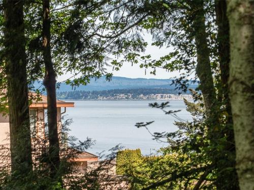 901 Haliburton Rd, Saanich, BC - Outdoor With Body Of Water With View