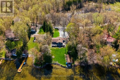 61 Beaver Drive, Kawartha Lakes, ON - Outdoor With View