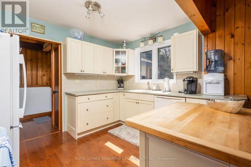 61 Beaver Drive, Kawartha Lakes, ON - Indoor Photo Showing Kitchen