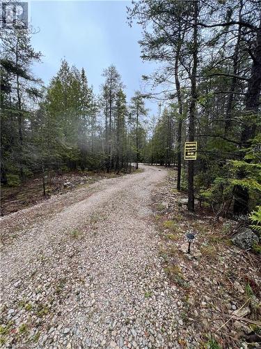 Private drive - 587 Dorcas Bay Road, Northern Bruce Peninsula, ON - Outdoor With View