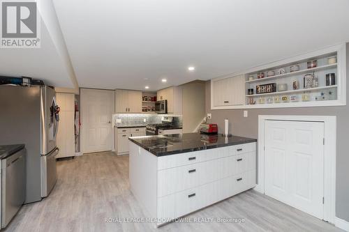 117 Mountainview Road S, Halton Hills, ON - Indoor Photo Showing Kitchen
