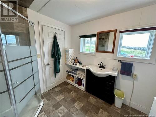 1078 Route 380, New Denmark, NB - Indoor Photo Showing Bathroom