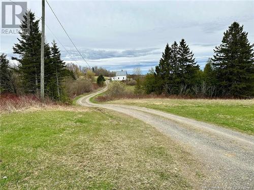 1078 Route 380, New Denmark, NB - Outdoor With View