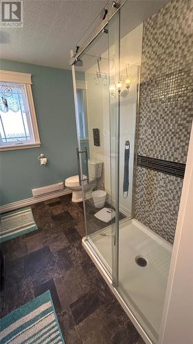 24 Macneil Crescent, Stephenville, NL - Indoor Photo Showing Bathroom