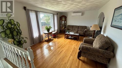 24 Macneil Crescent, Stephenville, NL - Indoor Photo Showing Living Room