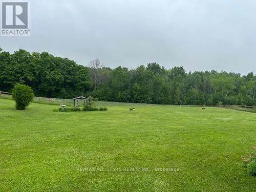 80 Crosswind Road, Kawartha Lakes, ON - Outdoor With View