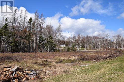 2 Park Road, Howley, NL - Outdoor With View