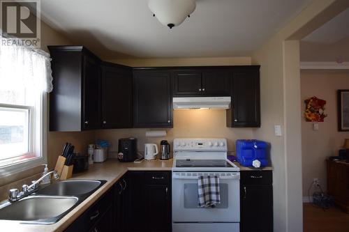 2 Park Road, Howley, NL - Indoor Photo Showing Kitchen With Double Sink