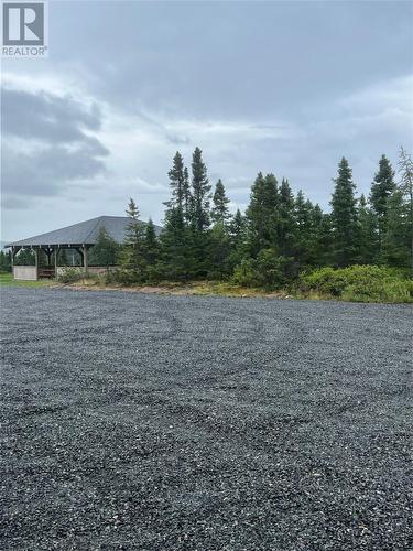 2 Peddles Lane, Port Blandford, NL - Outdoor With View