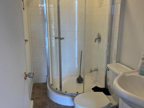 Salle de bains - 26  - 30 Rue Brissette, Sainte-Agathe-Des-Monts, QC - Indoor Photo Showing Bathroom