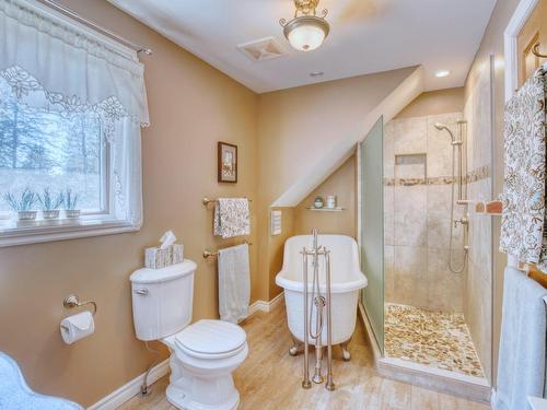 Ensuite bathroom - 192 Ch. De La Rivière-À-Simon, Saint-Sauveur, QC - Indoor Photo Showing Bathroom