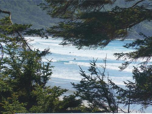 33-1431 Pacific Rim Hwy, Tofino, BC - Outdoor With View