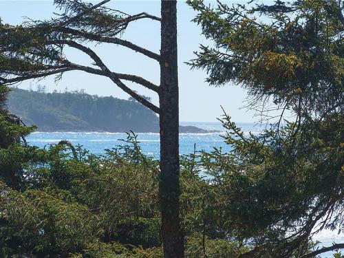 33-1431 Pacific Rim Hwy, Tofino, BC - Outdoor With Body Of Water With View