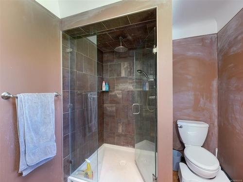 2911 Ilene Terr, Saanich, BC - Indoor Photo Showing Bathroom