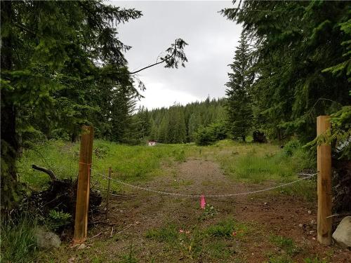 2635 Airstrip Road, Anglemont, BC - Outdoor With View