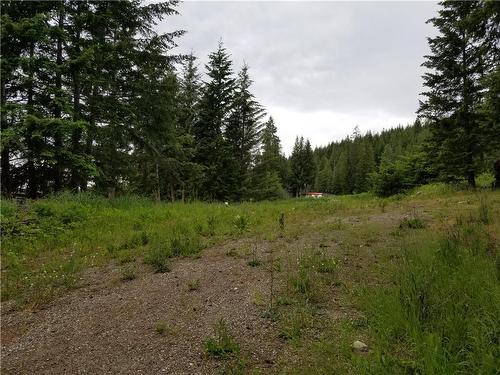 2635 Airstrip Road, Anglemont, BC - Outdoor With View