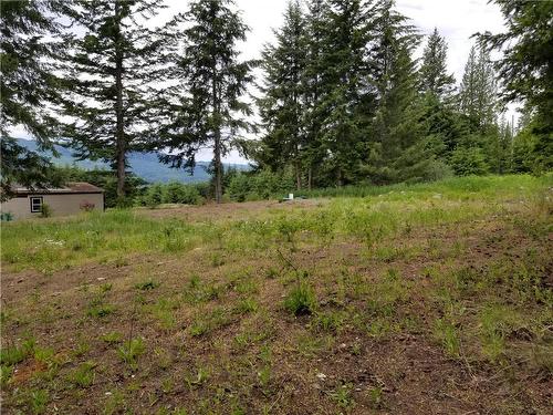 2635 Airstrip Road, Anglemont, BC - Outdoor