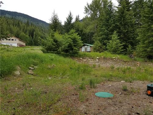 2635 Airstrip Road, Anglemont, BC - Outdoor