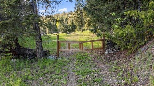 2635 Airstrip Road, Anglemont, BC - Outdoor With View