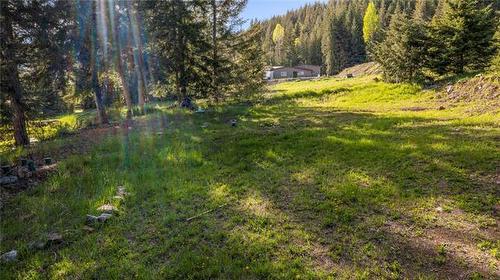 2635 Airstrip Road, Anglemont, BC - Outdoor With View