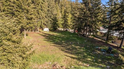 2635 Airstrip Road, Anglemont, BC - Outdoor