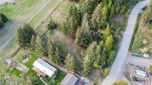 2635 Airstrip Road, Anglemont, BC - Outdoor With View
