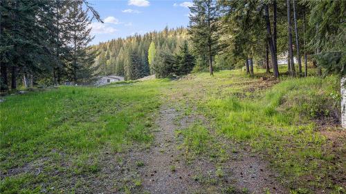 2635 Airstrip Road, Anglemont, BC - Outdoor With View