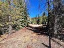 Dl4152 Country Lane, Princeton, BC  - Outdoor With View 
