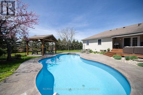 443 Bishopsgate Road N, Brant, ON - Outdoor With In Ground Pool With Deck Patio Veranda With Backyard