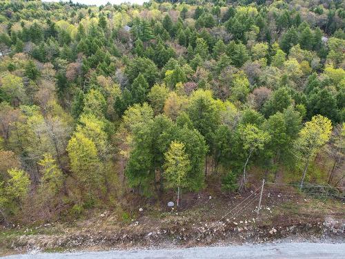 Vue d'ensemble - 37 Ch. De La Fresque, Val-Des-Monts, QC 