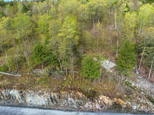 Vue d'ensemble - 40 Ch. De La Fresque, Val-Des-Monts, QC 