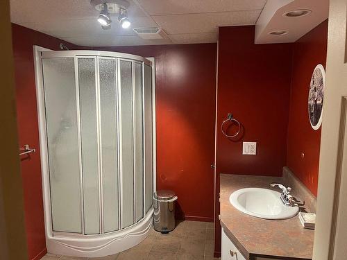 Salle de bains - 23 Rue Chamberland, Saint-Philippe-De-Néri, QC - Indoor Photo Showing Bathroom