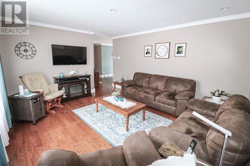 12 Aspen Avenue, Cormack, NL - Indoor Photo Showing Living Room