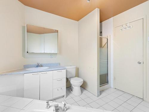 Salle de bains - 2655 20E Rue, Laval (Laval-Ouest), QC - Indoor Photo Showing Bathroom