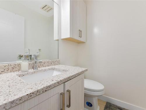 1141 Roy Rd, Saanich, BC - Indoor Photo Showing Bathroom